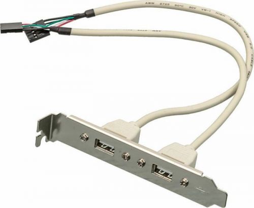Планка USB-порта USB2.0 2 ports (серебристый, 2 порта,со шлейфом для подключения к материнской плате)