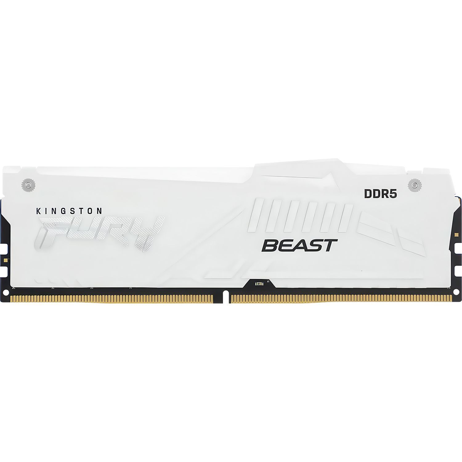 Память оперативная Kingston FURY Beast KF560C36BWEA-32